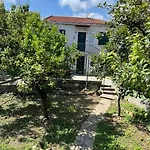 In Bifamiliare Con Giardino